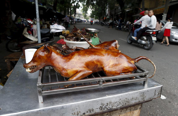 CARNE DE PERRO, UN PLATO CON MUCHA PROTEINA SEGÚN ALGUNOS VIETNAMITAS