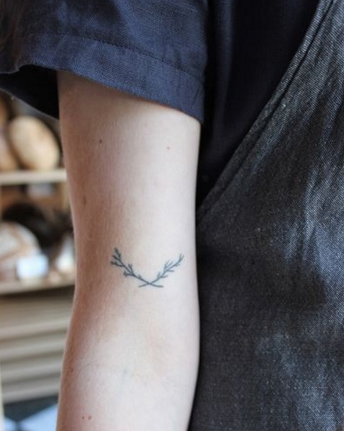 olive branch tatuajes con diseños