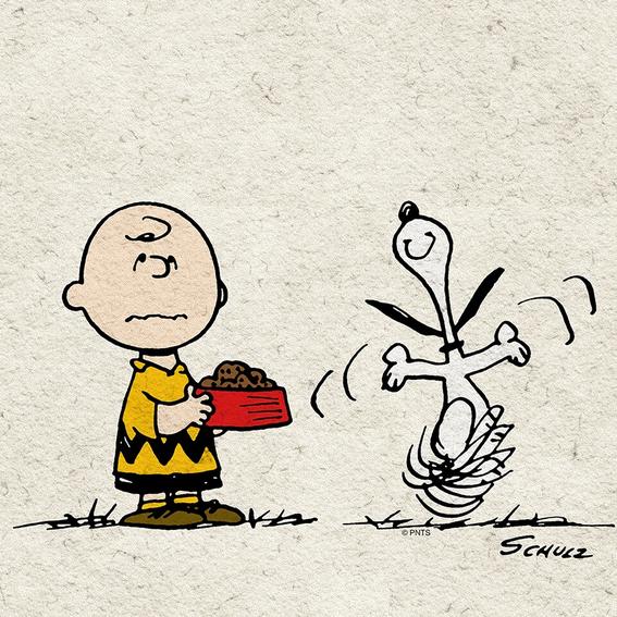 Valiosas lecciones que aprendimos de Charlie Brown - Letras