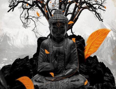 Mundo del budismo - Siddhartha