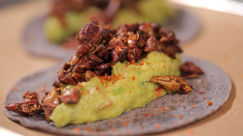 comida de oaxaca chapulines