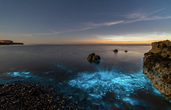 playas bioluminiscentes en mexico 1