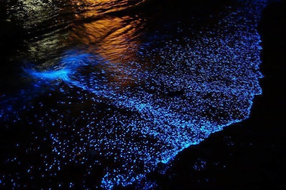 playas bioluminiscentes en mexico 5