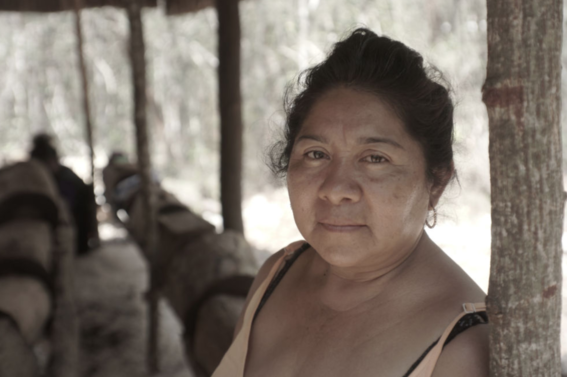 mujeres indigenas yucatecas productoras de miel 3