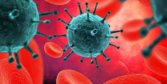 virus del valle de seneca podria destruir tumores cancerigenos 5