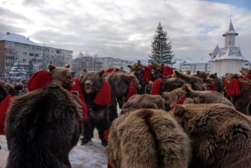 17 fotografías del ritual navideño de vestirse con piel de oso y bailar 1