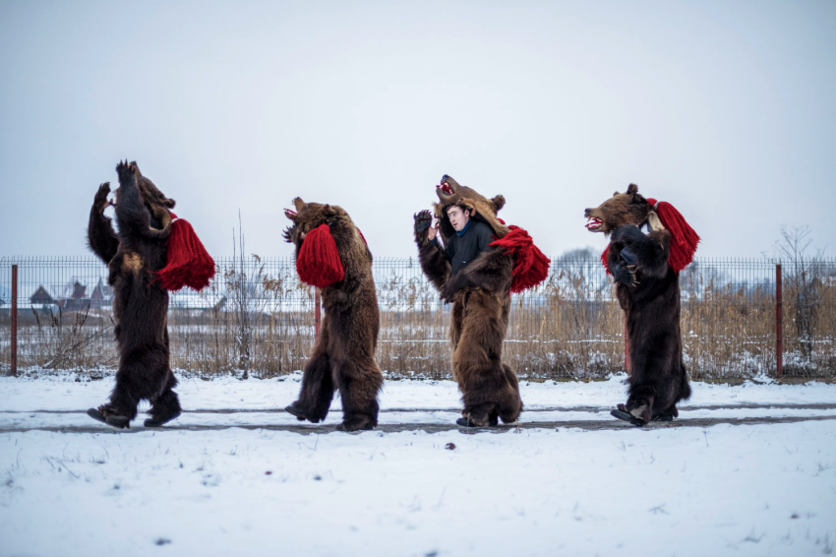 17 fotografías del ritual navideño de vestirse con piel de oso y bailar 2