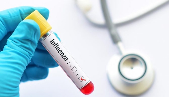 secretaria de salud descarta riesgo de pandemia de influenza 2