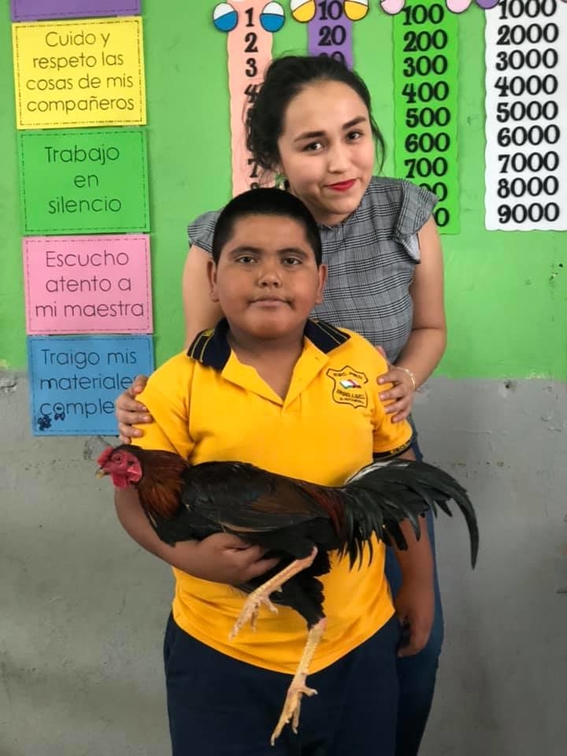 alumno regala un gallo a maestra cumpleanos 3