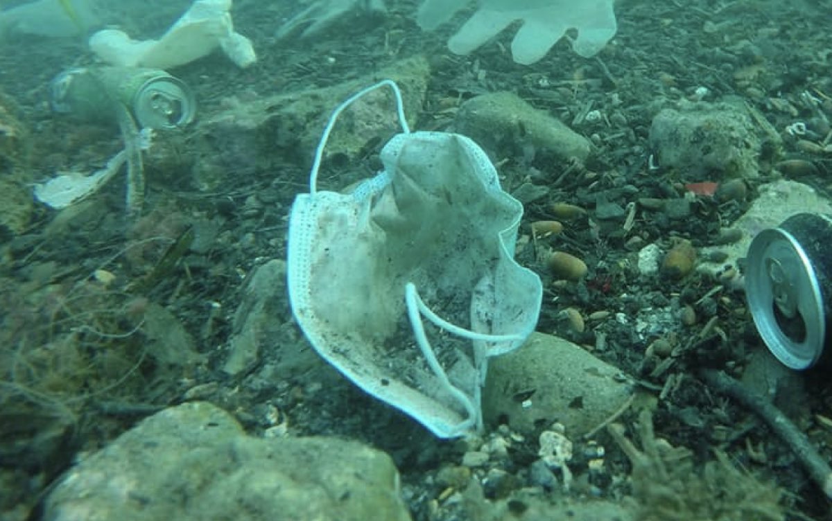 No aprendimos nada. El mar está lleno de tapabocas y las