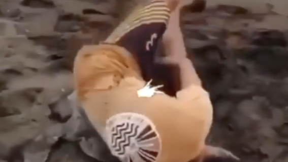 video golpean a tortuga playa costa rica