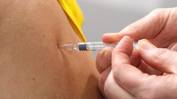robo vacunas influenza imss