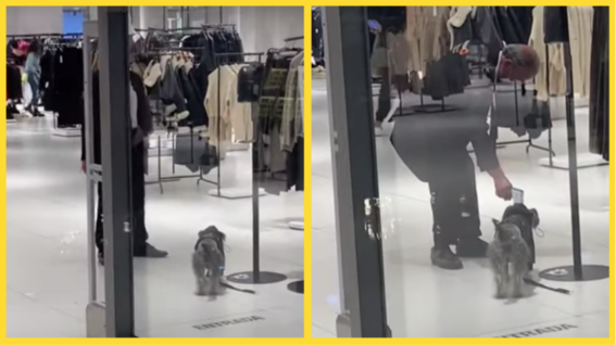 perrito quiere entrar a tienda de ropa y vigilante le toma la temperatura video