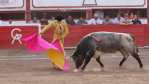 congreso local avala prohibir corridas de toros en cdmx